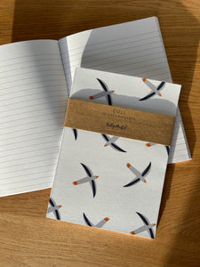 Gull Notebook