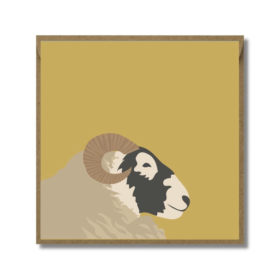 Blackface Sheep Card