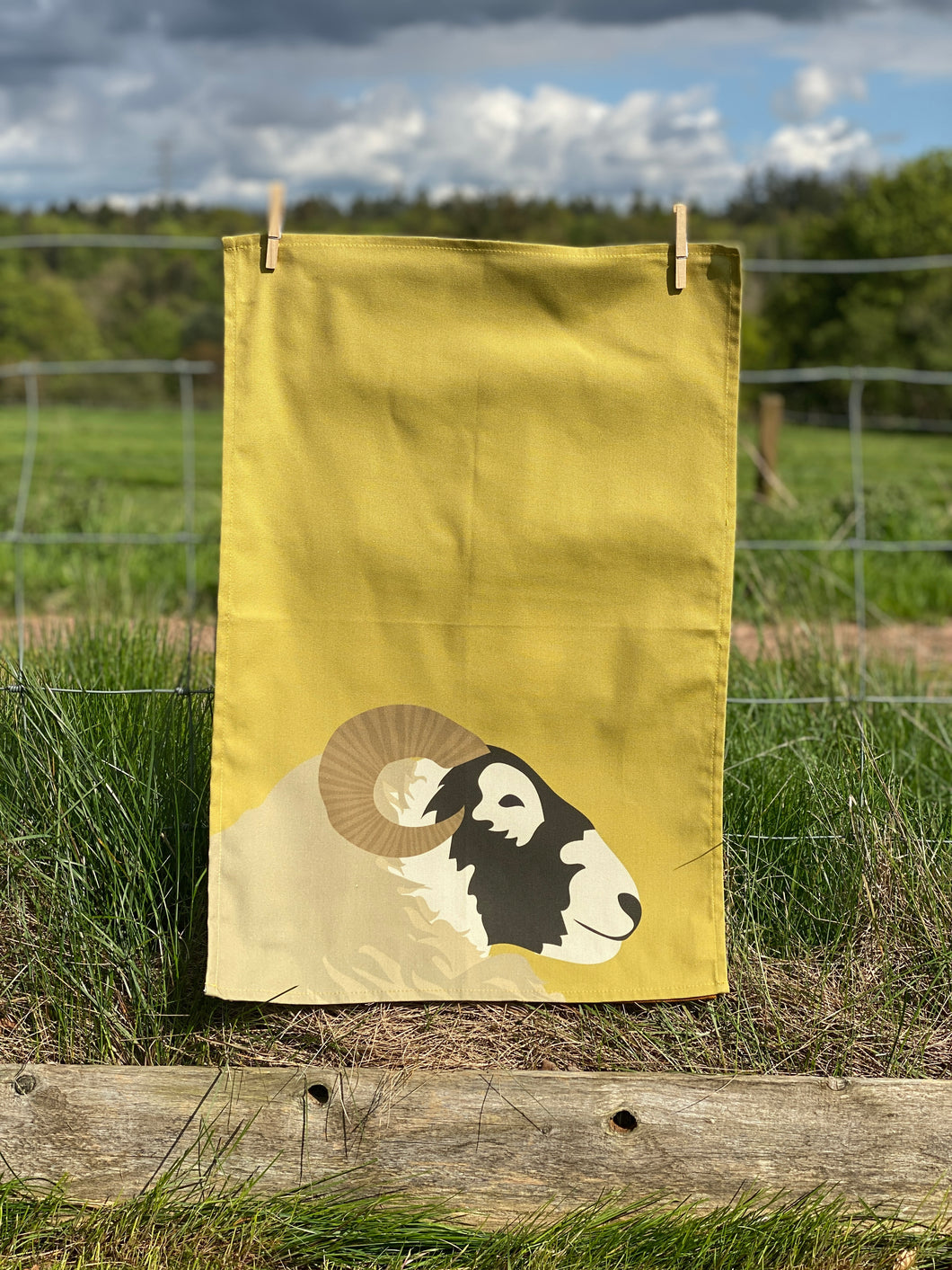 Blackface Sheep Tea Towel